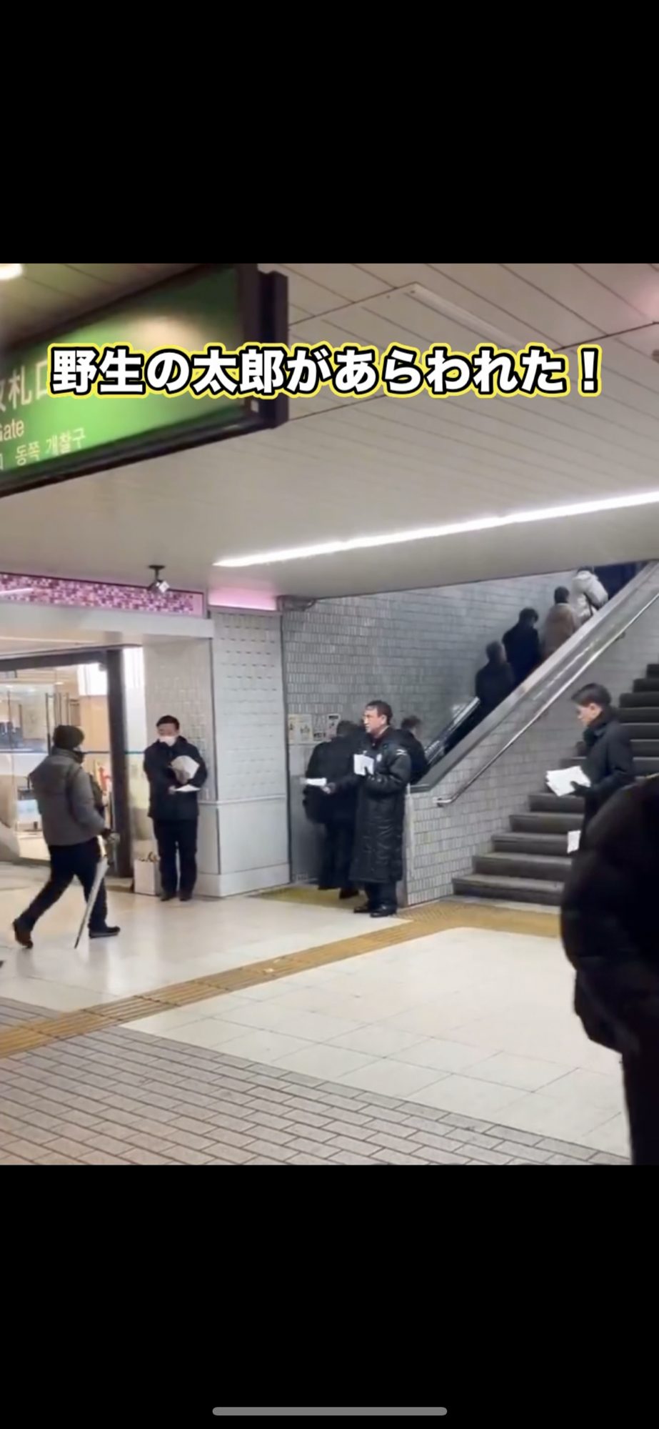 野生の太郎が現れた #野生ポケモン #河野太郎 #平塚駅